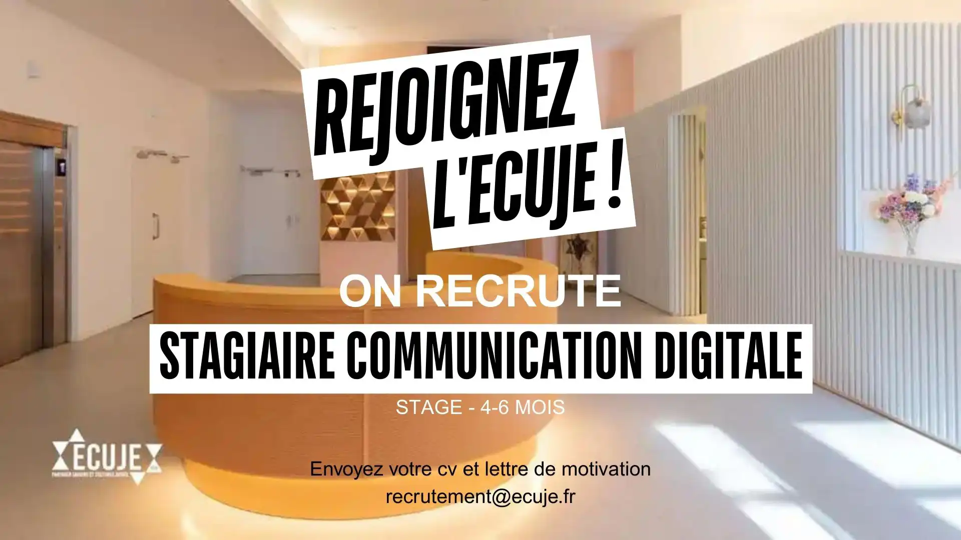 Rejoindre l'ECUJE : offre de stage